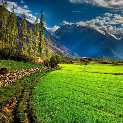 listing-details-carousel